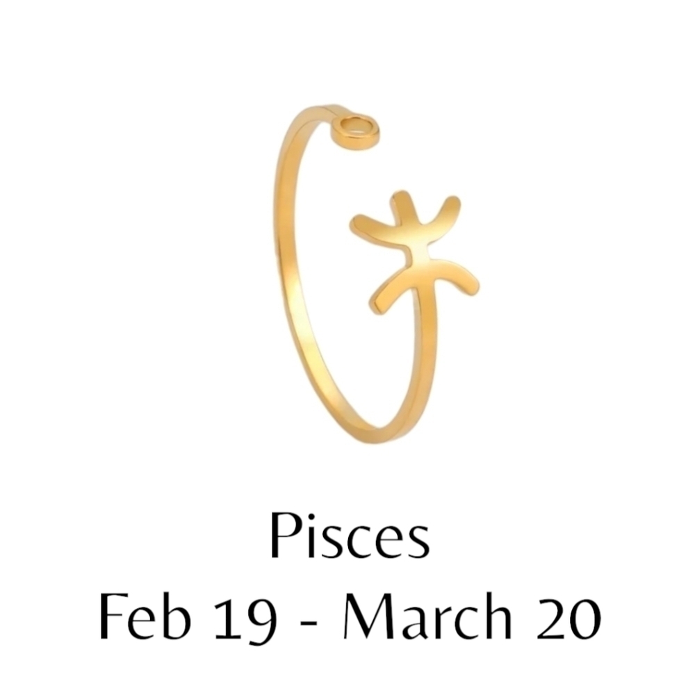 Pisces - Zodiac Constellation Stainless Steel Open Front Adjustable Ring
